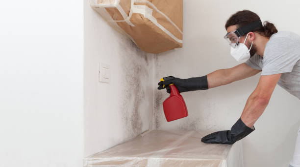 Professional Bathroom Mold Removal technician working in Hampton, MN