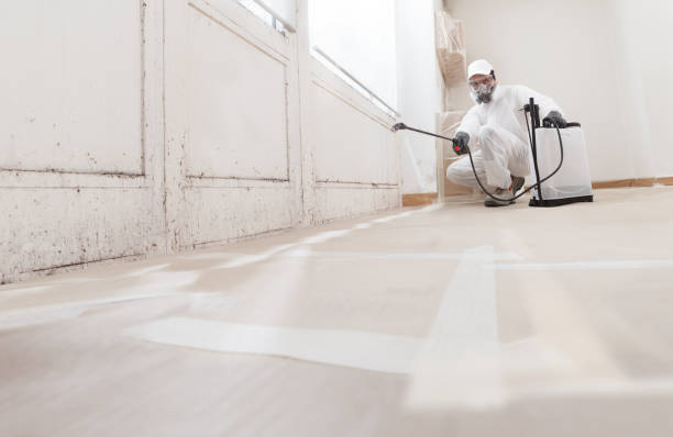 24/7 Emergency Bathroom Mold Removal experts in Hampton, MN
